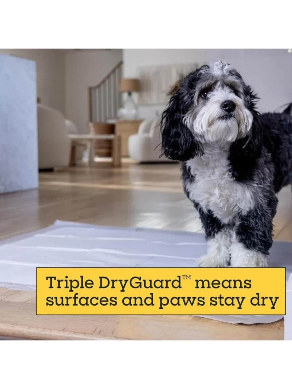 Heavy Duty 3XL Puppy Pads for Dogs - Leak-Proof, Super Absorbent, Quick-Dry, 26